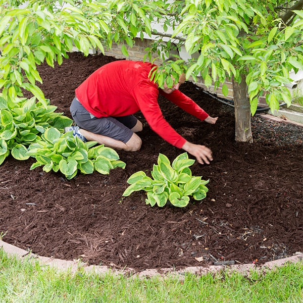 we offer various types of mulch for installation including wood, rubber, and pine straw